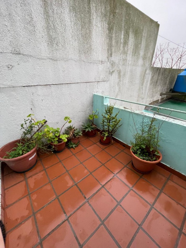 Excelente departamento 3 ambientes sin expensas